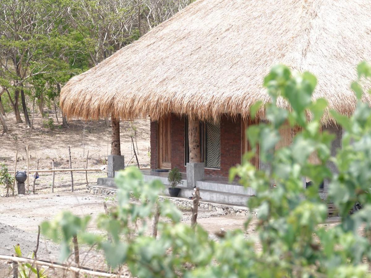 Melody Surf - Ekas Lombok Hotel Екстериор снимка