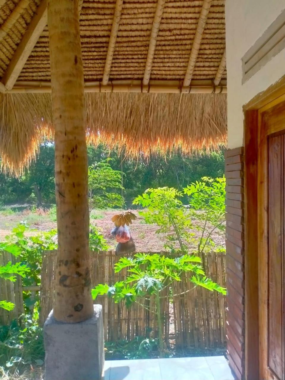 Melody Surf - Ekas Lombok Hotel Екстериор снимка