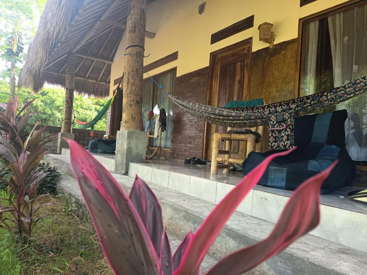 Melody Surf - Ekas Lombok Hotel Екстериор снимка