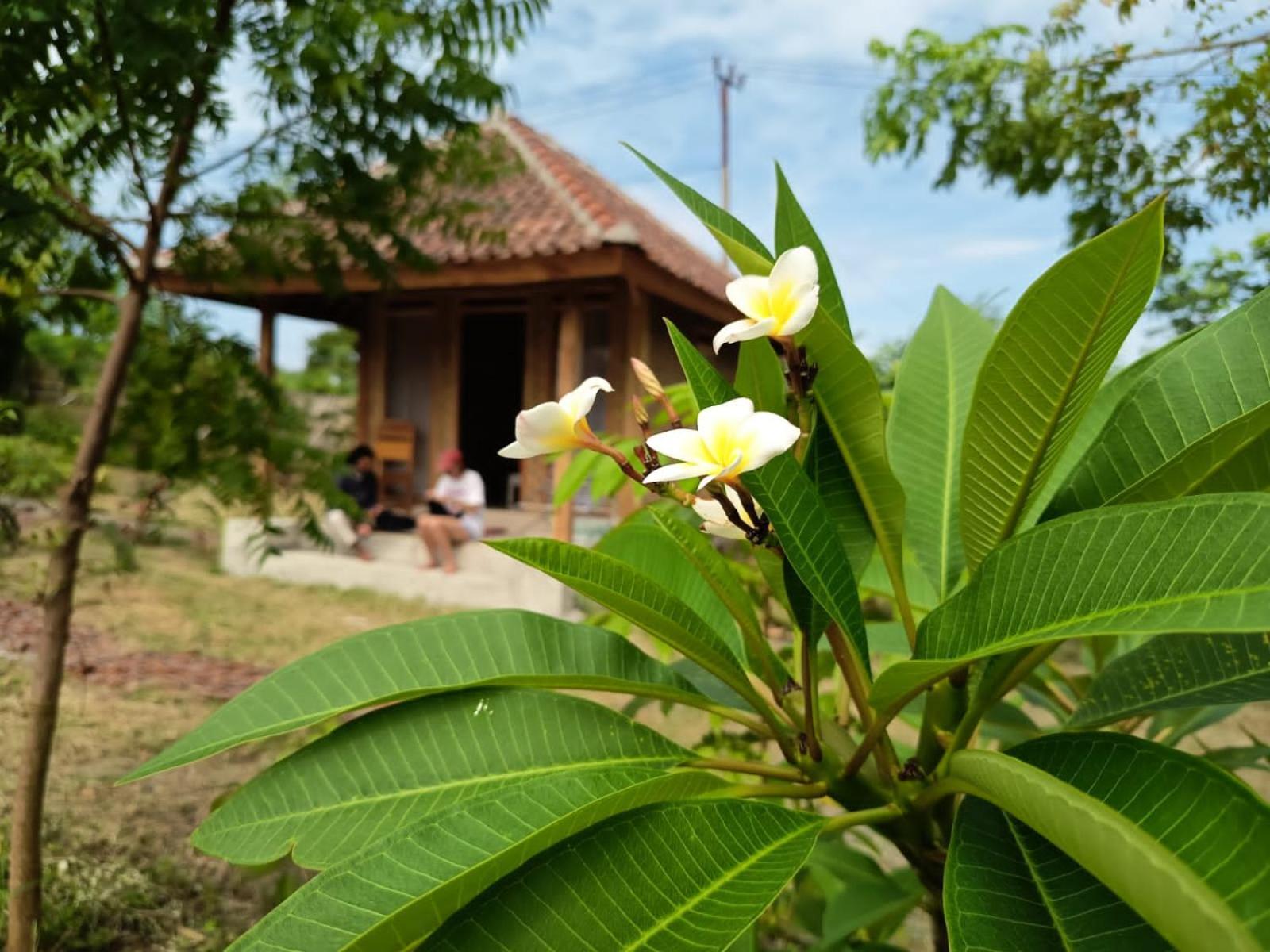 Melody Surf - Ekas Lombok Hotel Екстериор снимка