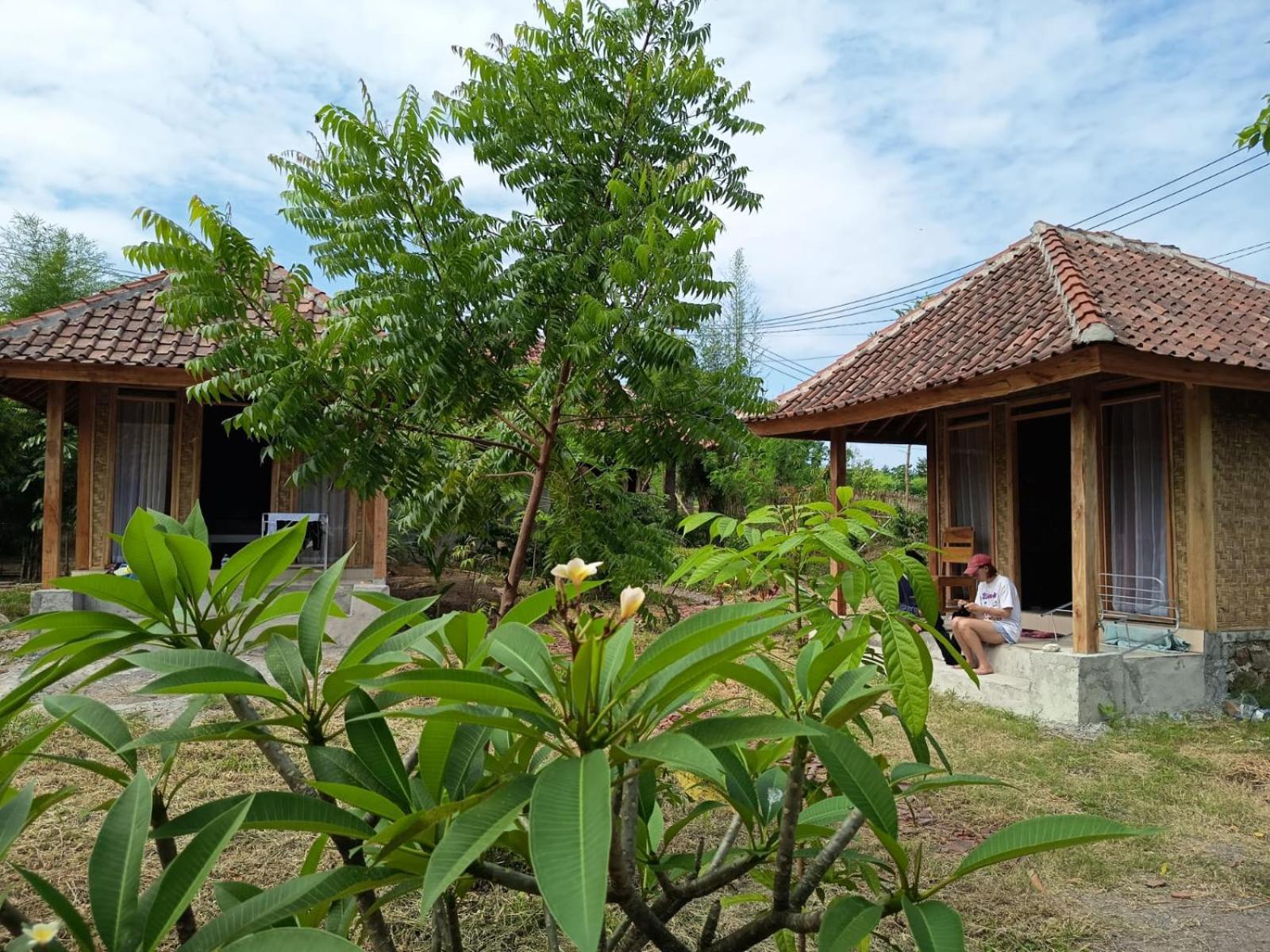 Melody Surf - Ekas Lombok Hotel Екстериор снимка