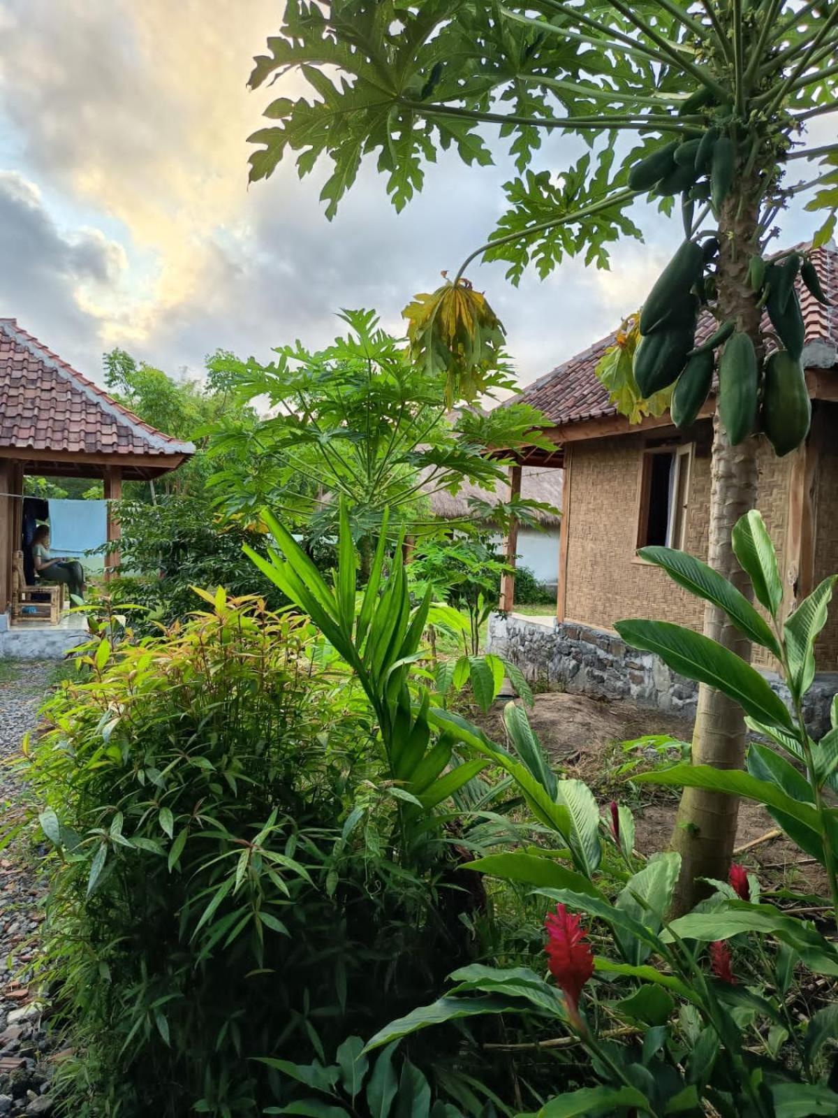 Melody Surf - Ekas Lombok Hotel Екстериор снимка
