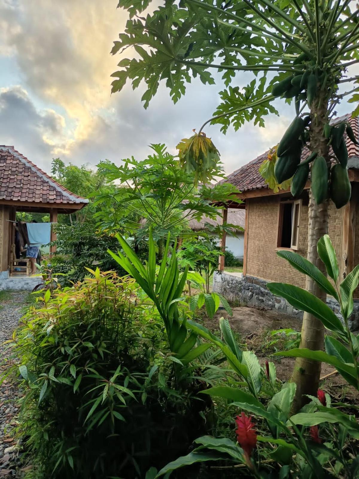 Melody Surf - Ekas Lombok Hotel Екстериор снимка